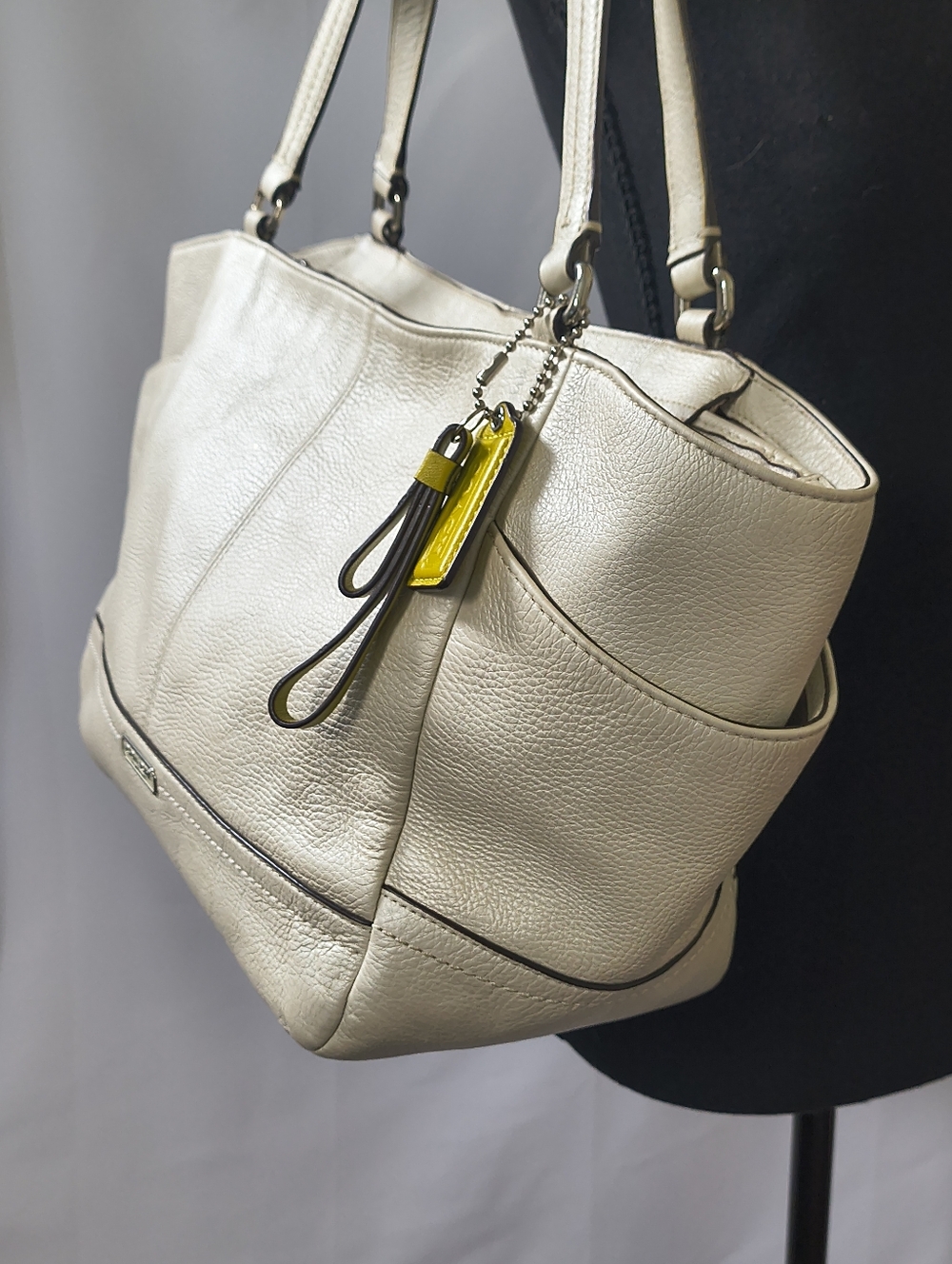 Coach Park Carrie Pebble Leather Satchel